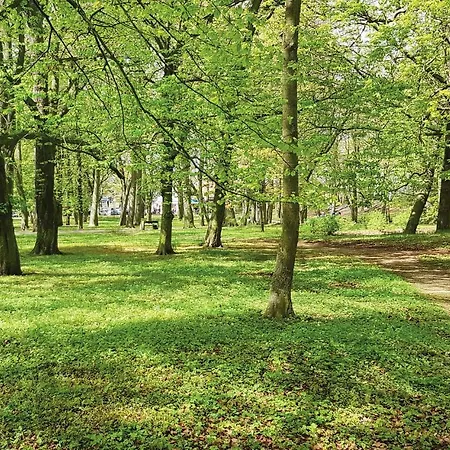 Stunning In With 1 Bedrooms And Wifi Apartment Kolobrzeg